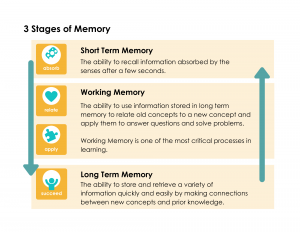 working memory